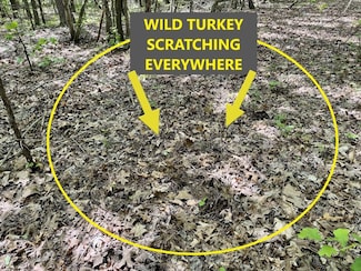 0 Green Hatley Branch Rd Unit 16997025, Holliday, TN 38341