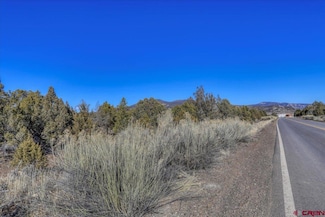 160 County Road 982, Arboles, CO 81121