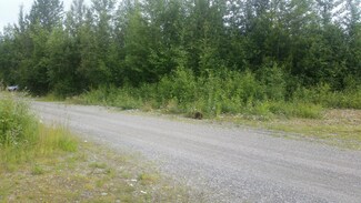 B4 L28 Willow Lake, Copper Center, AK 99573