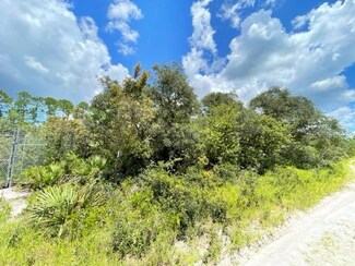 0 SE 142nd St Unit G5058857, Umatilla, FL 32784