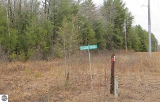 00 Elrich Trail, Whittemore, MI 48770
