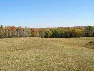 n 1086 Harrison Rd, Ogema, WI 54459