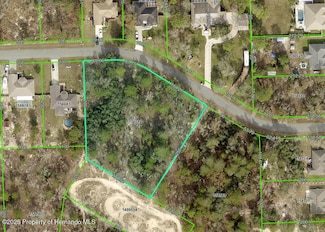 0 Painted Bunting Ave Unit 2252422, Weeki Wachee, FL 34606
