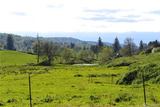 0 Mossyrock Rd E Unit 48.53 925328, Mossyrock, WA 98564