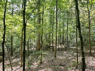 0 Lincoln Rd, Gray Court, SC 29645