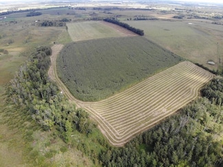 TBD County 77, Bartlett Township, MN 56481