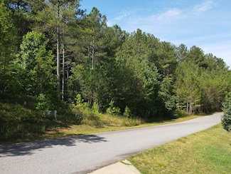 36 Loftis Mountain Way, Blairsville, GA 30512