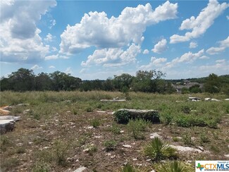 309 Eagle Basin Cir, Spicewood, TX 78669