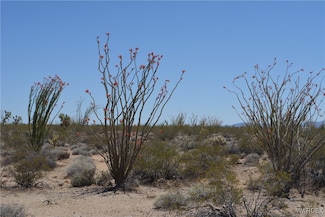 Lot 205 S Cortaro Rd, Yucca, AZ 86438