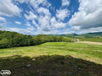 0 Horne Hollow Rd Tract A, Sugar Grove, VA 24375