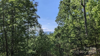 99999 Woodchuck Ln, Marion, NC 28752