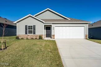 1038 Persimmon Hollow, Greeneville, TN 37745