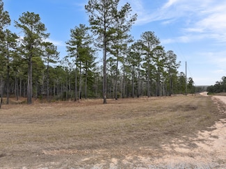 344 Frontier Bend, Sumrall, MS 39482