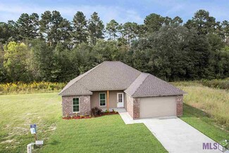 17800 H S Brignac Dr, French Settlement, LA 70733