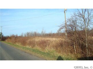 0 Wiltsieville Rd, Hannibal, NY 13074