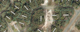 0 Magnolia Pass Trace Unit MFRW7878677, Ocklawaha, FL 32179