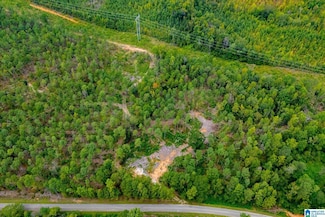 80.73 acres County Road 99, Wedowee, AL 36278