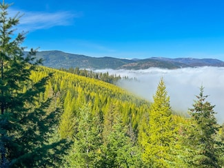 Nhn Pats Knob Rd, Plains, MT 59859