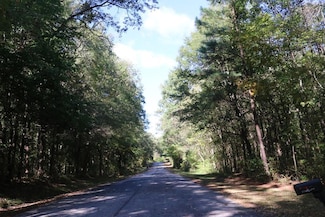 0 Buffaloe Ln, Farmville, VA 23901