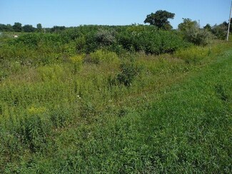 0 E Lafayette Rd, Burr Oak, MI 49030