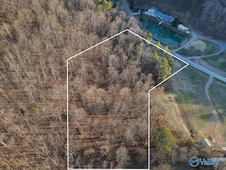 LOT 10 Rocky Hollow Rd Unit 3, Blountsville, AL 35031