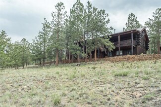 1806 Wagon Wheel Rd, Hartsel, CO 80449