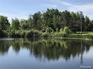 V/l River Vine Dr, Morley Vlg, MI 49336