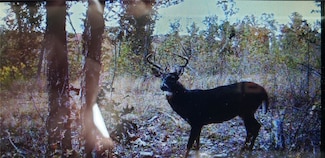 0 Tbd Madison 2360, Huntsville, AR 72740