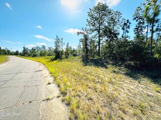 XXX Trellis Dr, Chipley, FL 32428