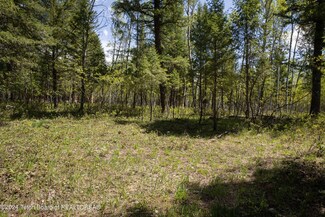 31 N Forest Dr, Star Valley Ranch, WY 83127
