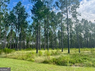 33206 Canoochee Rd, Metter, GA 30439