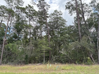 303 Yarrow Ln, Niceville, FL 32578