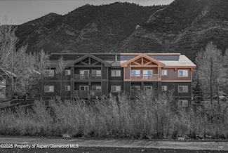 433 River View Dr Unit 1605, New Castle, CO 81647