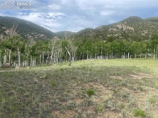 171 Emerald Way, Lake George, CO 80827