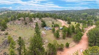 57 Terrace Ln, Florissant, CO 80816