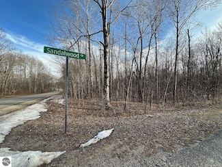 Lot 351 Dellwood Dr Unit 351, Star Township, MI 49730