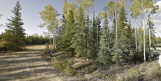 L6 BB Aspen Ave, Deltana, AK 99737