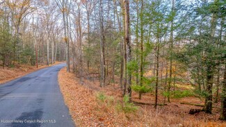 Tbd Cherry Hill Lot #1 Rd, Stone Ridge, NY 12484