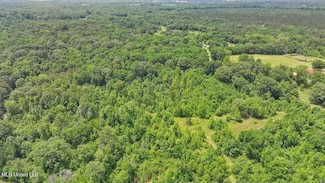 869 B Parks Rd, Pickens, MS 39146