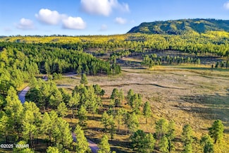 1A Forest Road 26, Alpine, AZ 85920