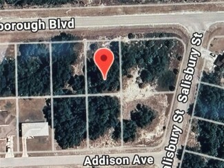 19233 Hillsborough Blvd, Point Charlotte, FL 33954