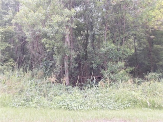 0 Delacroix Rd Unit 2509900, New Orleans, LA 70131