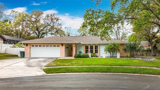 19 Seedling Dr, Safety Harbor, FL 34695