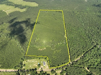 0 County Road 3550 Unit 23766232, Woodville, TX 75979