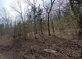 6 Wild Turkey Dr, Holiday Island, AR 72631