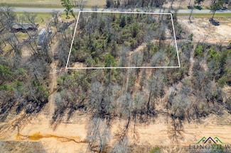 Lot 17 Texas 11, Pittsburg, TX 75686