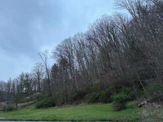 00 Lorton Lick Rd, Bluefield, WV 24701