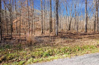 11 Ribbon Branch Rd, Dover, TN 37058