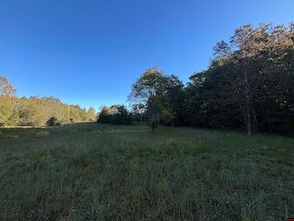 677319890006773 Timbercrest Rd, Viola, AR 72583