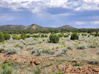 0 Blue Hills Trail Unit 23914389, Pie Town, NM 87827